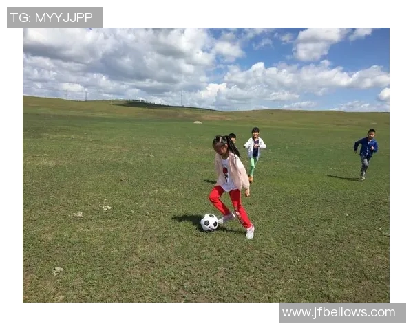 草原足球明星全景展示及详细资料汇总图册